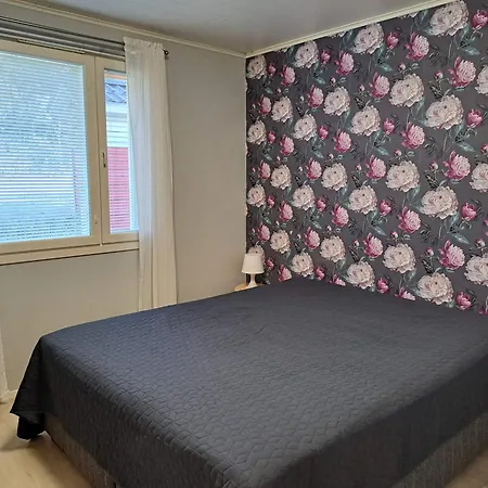 Taivalviiri 別荘 *