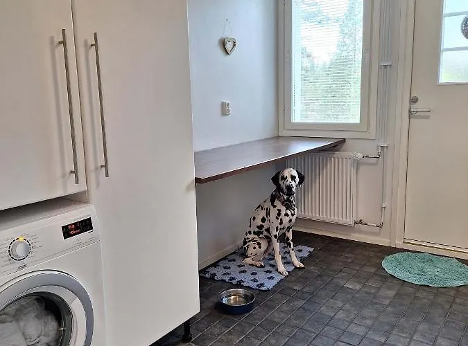 Taivalviiri טאיבלקוסקי