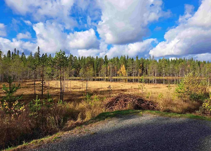 Taivalviiri * טאיבלקוסקי